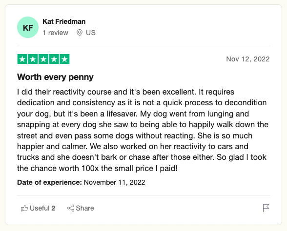 03-spiritdog-training-review..png